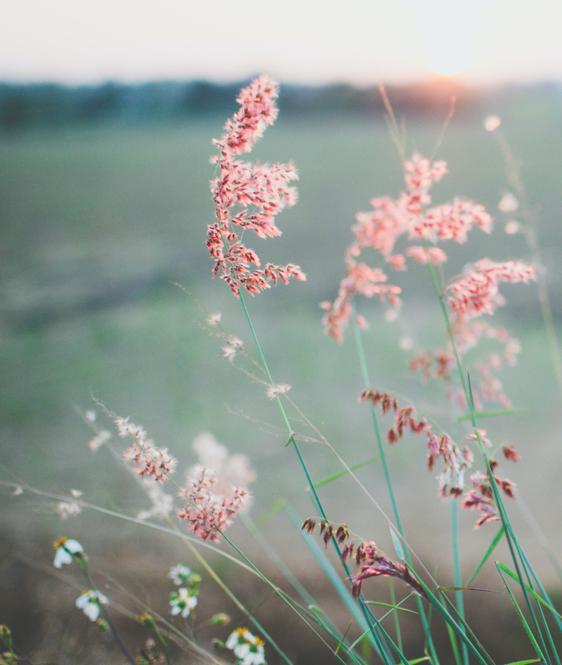 psychologische-praxis-therapie-coaching-wien